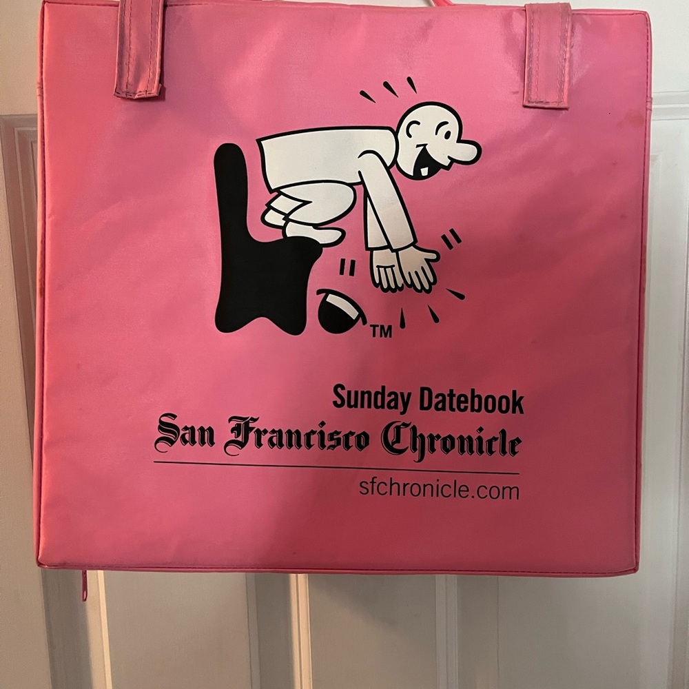 Pink San Francisco  Chronicle 
seat cushion with mesh bag attached.
Rare